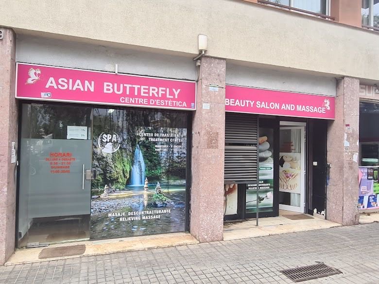 Asian Butterfly - foto 2