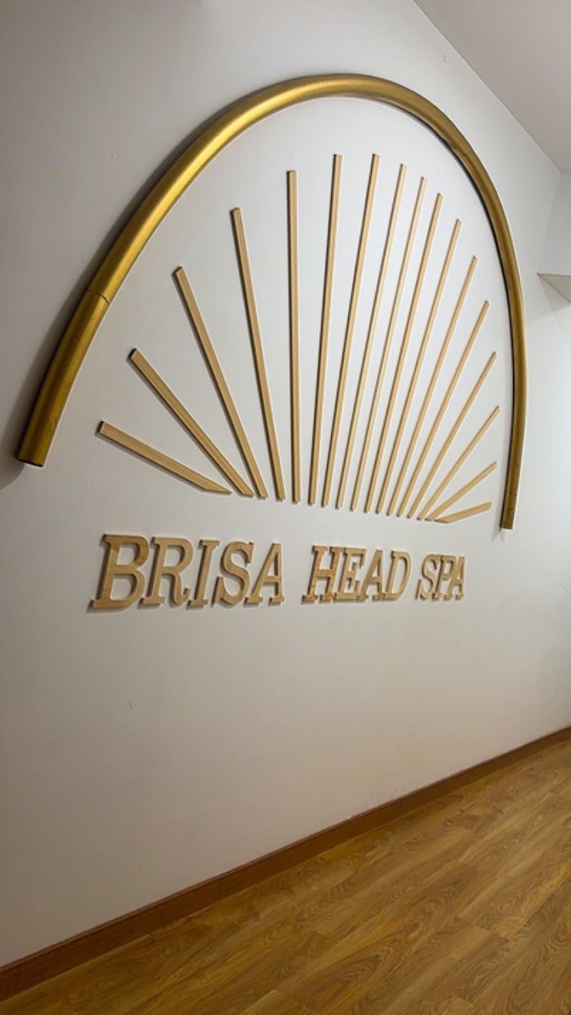 BRISA HEAD SPA I SPA CAPILAR EN BARCELONA - photo 5