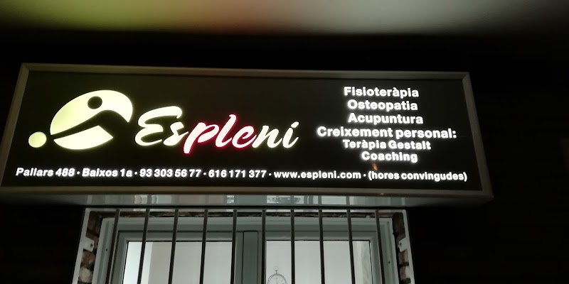 Centre de Fisioteràpia i Osteopatia Espleni - foto 3
