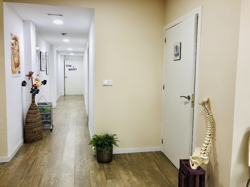 Centre de Fisioteràpia i Osteopatia Marta Galián - foto 3