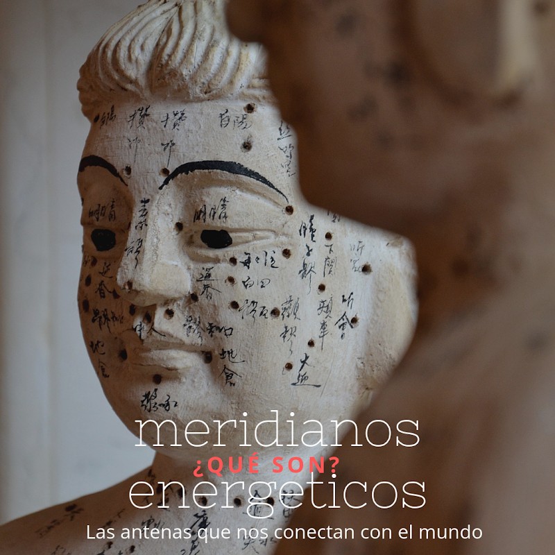 Centro ten wan - photo 2