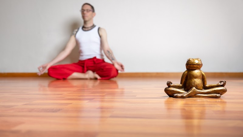 DitoFlow-Pilates Yoga Terapias BCN