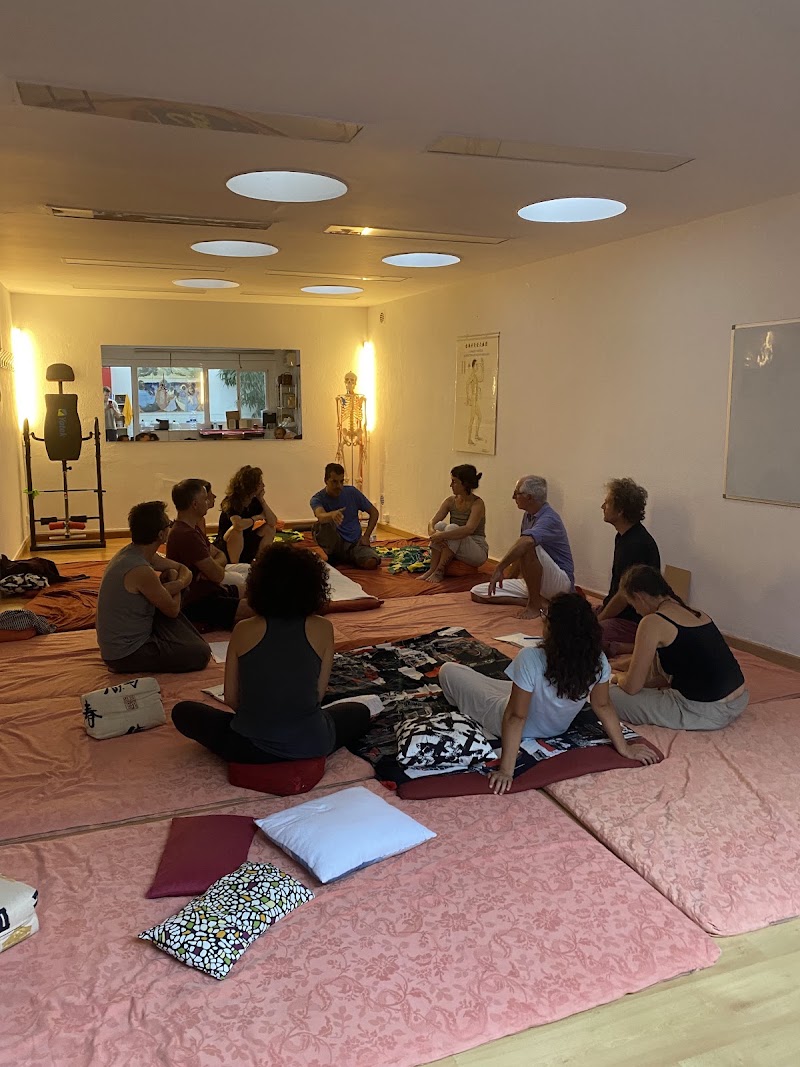 Escola De Shiatsu I Moviment