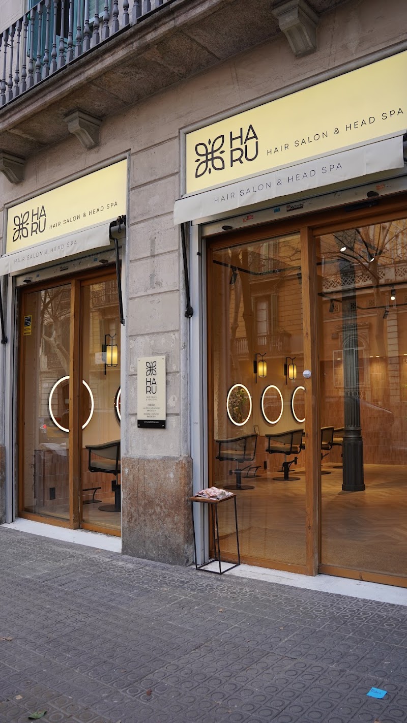 Haru Hair Salon & Head SPA - photo 3