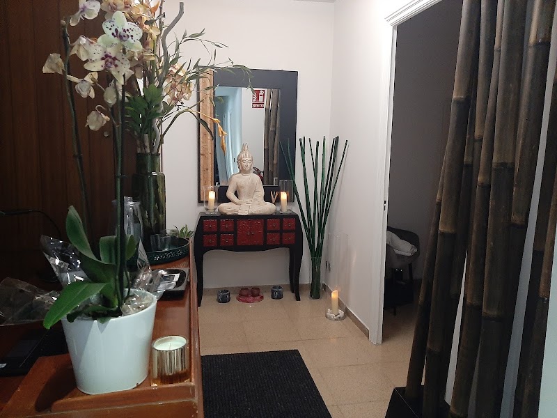 Mandala Wellness - photo 2
