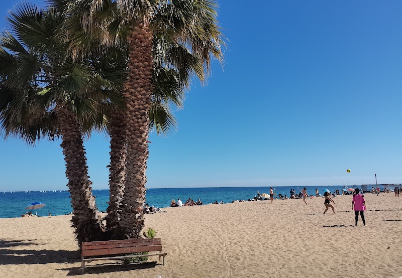 Masaje asia barcelona - photo 4
