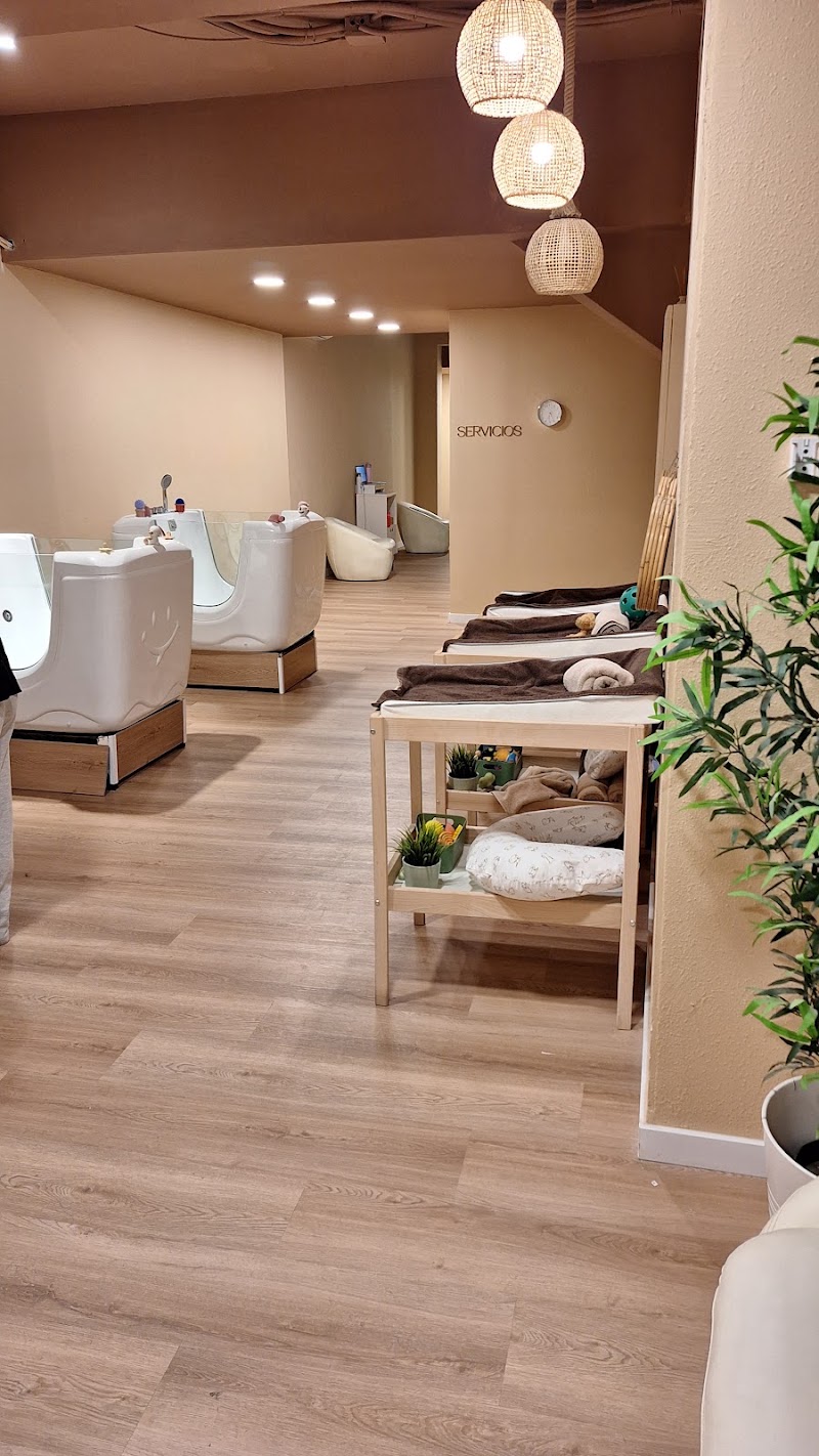 Ocean Baby Spa - foto 5