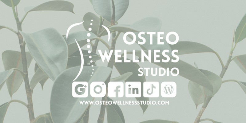 Osteo Wellness Studio - photo 5