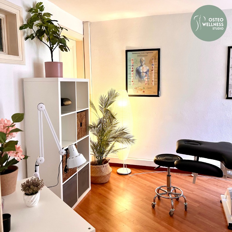 Osteo Wellness Studio - photo 2