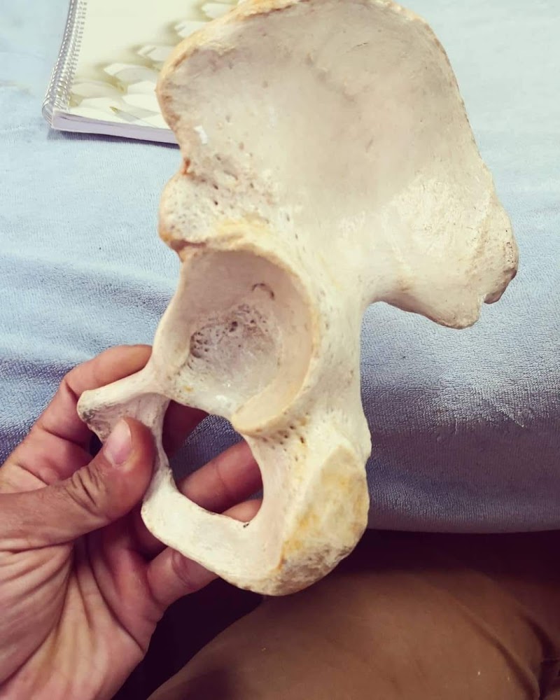 Psico-Osteopatía Barcelona – Especialista en Diagnóstico Holístico GDR - foto 5