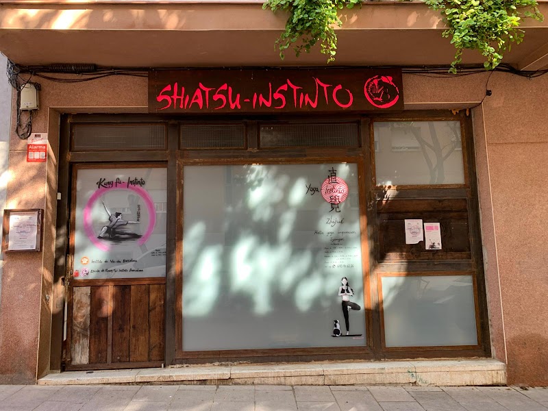 Shiatsu - Instinto | Centro de Salud y bienestar con terapias alternativas en Barcelona