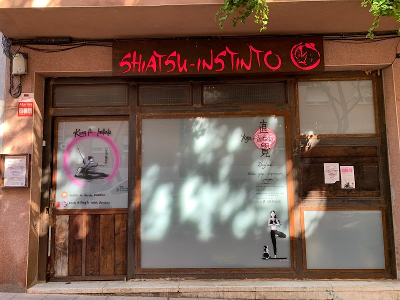 Shiatsu - Instinto | Centro de Salud y bienestar con terapias alternativas en Barcelona - foto 5