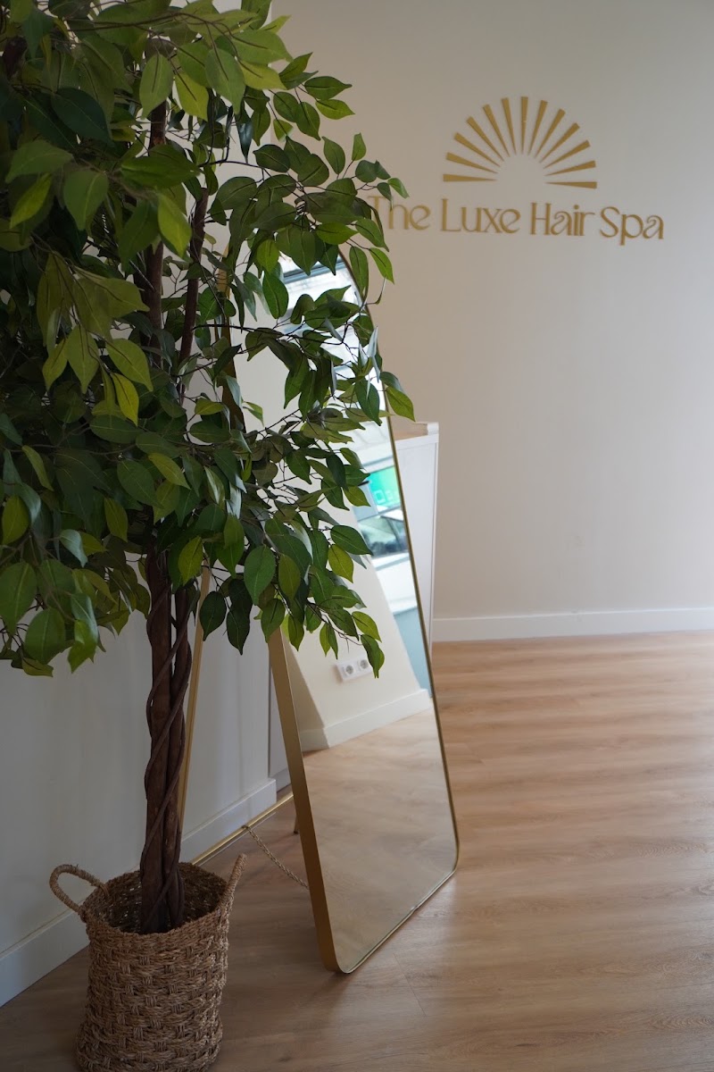 The Luxe Hair Spa - foto 2