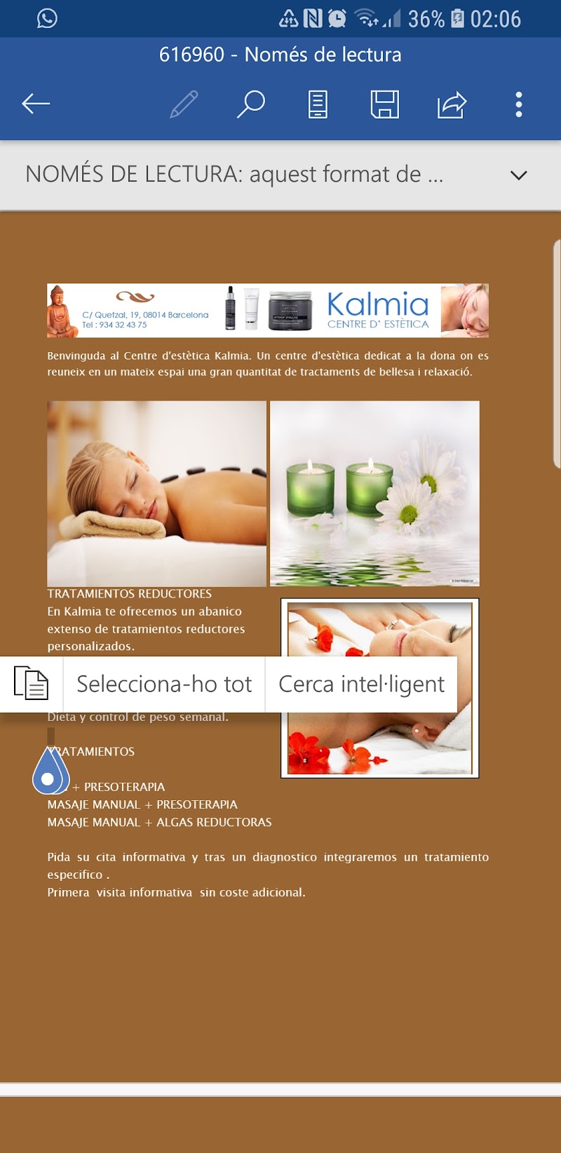 Kalmia - foto 2